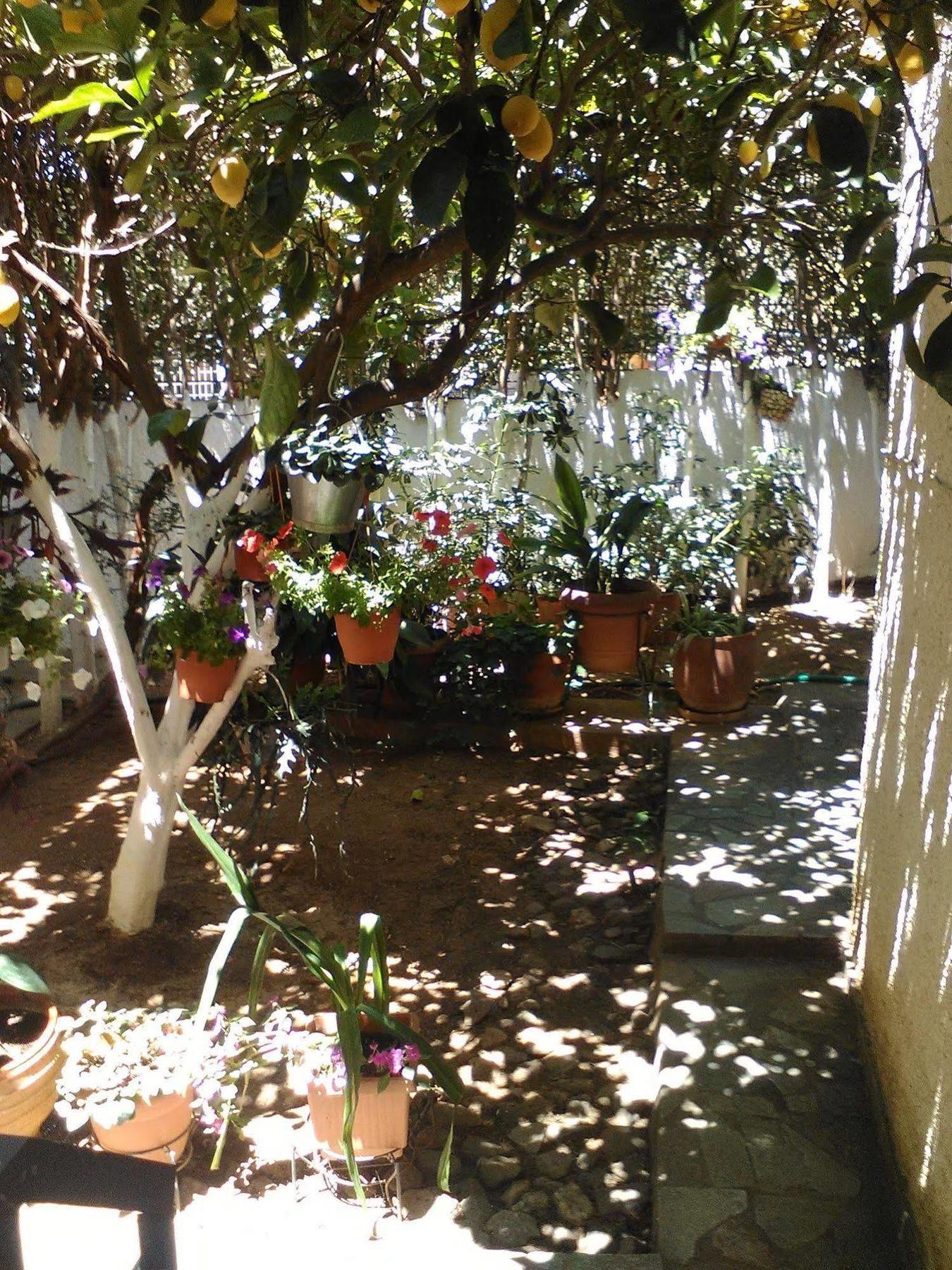 Aparthotel Iliahtides Amarynthos Luaran gambar